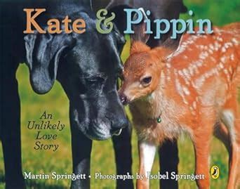 unlikely love stories.